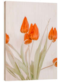 Wood print Red Tulip