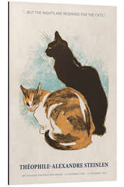 Magnettafel The Nights are Reserved for the Cats