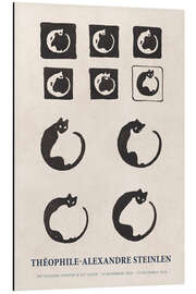 Magnettafel Cat Study