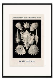 Gerahmter Kunstdruck Kunstformen der Natur II