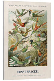 Magnettafel What Nature is, is Visible on its Surface