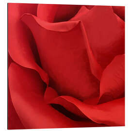 Magnettafel Christys Rose