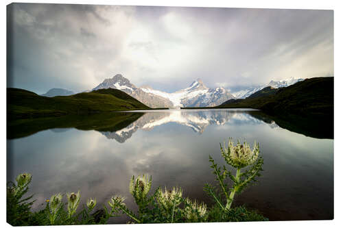 Canvas print Bachalpsee Lake, Grindelwald, Bernese Oberland, Switzerland