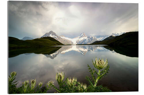 Gallery print Bachalpsee Lake, Grindelwald, Bernese Oberland, Switzerland