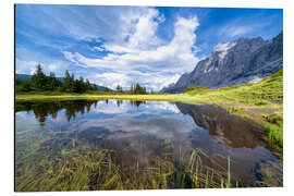 Alubild Grosse Scheidegg Pass, Berner Alpen, Schweiz