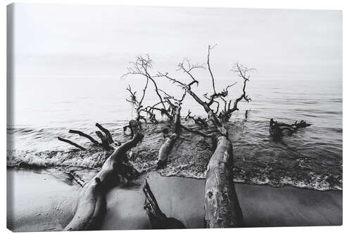Canvas print Trees by the sea