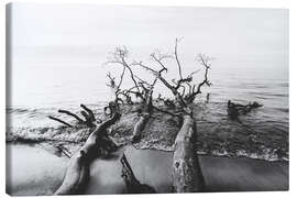 Tableau sur toile Arbres au bord de la mer