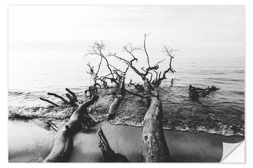 Vinilo para la pared Árboles junto al mar