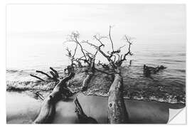 Vinilo para la pared Árboles junto al mar