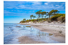 Foam board print Beach on the Baltic coast