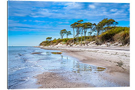 Galleritryck Beach on the Baltic coast