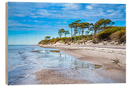 Obraz na drewnie Beach on the Baltic coast