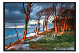 Gerahmter Kunstdruck Sonnenuntergang am Weststrand auf dem Darß