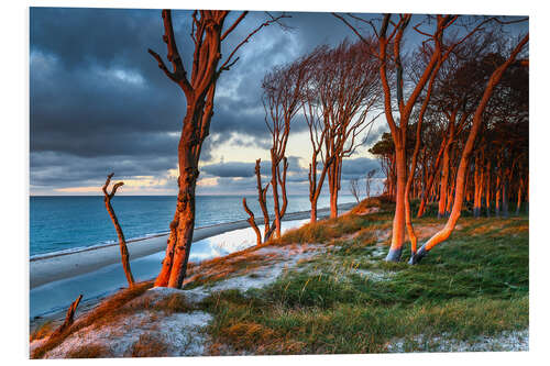 PVC print Sunset on the west beach on the Darß