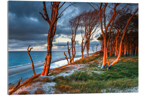 Galleritryck Sunset on the west beach on the Darß