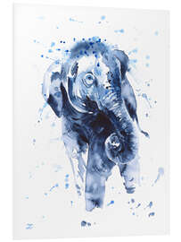 Foam board print Elephant Calf