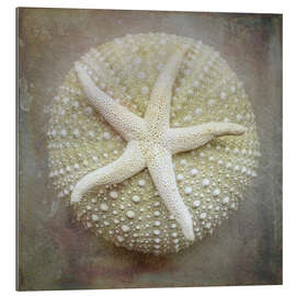 Galleritryk Starfish on sea urchin