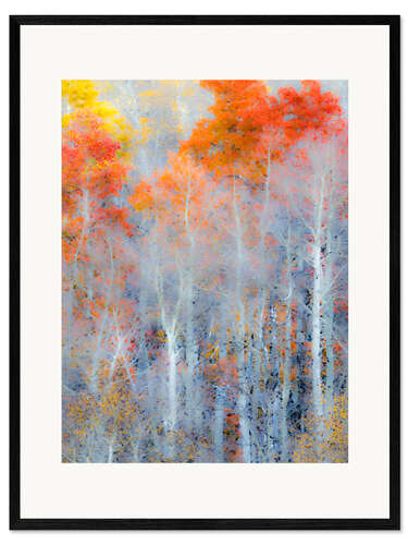 Plakat artystyczny premium w ramie Autumn colors of the forest