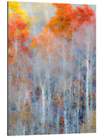 Magnettafel Herbstfarben des Waldes