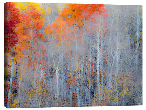 Tableau sur toile Couleurs d'automne