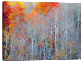 Canvas print Fall colors