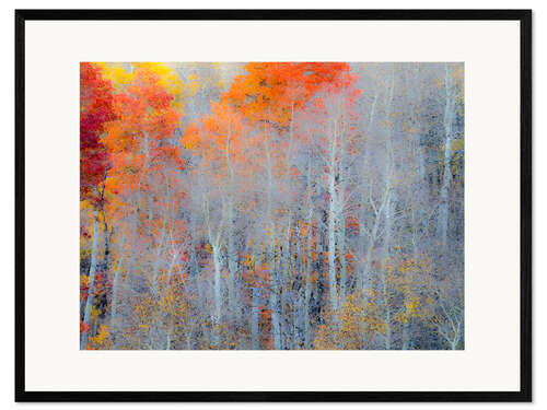 Framed art print Fall colors