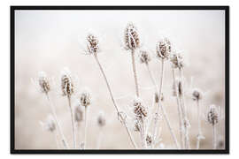 Gerahmter Kunstdruck Morgendlicher Frost