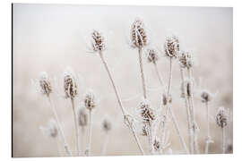 Magnettafel Morgendlicher Frost