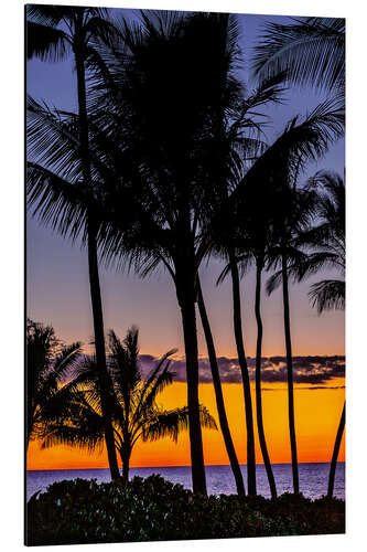 Aluminium print Tropical sunset