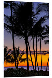 Quadro em PVC Pôr do sol tropical