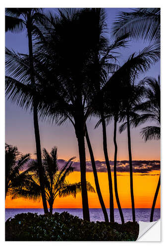 Selvklebende plakat Tropical sunset