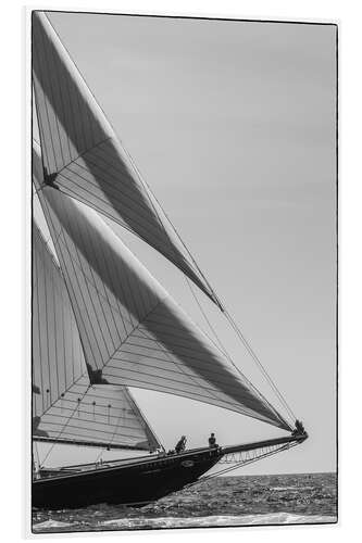 Foam board print Sailing ship parade