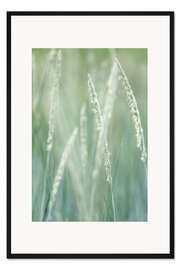Gerahmter Kunstdruck Strand-Roggengras