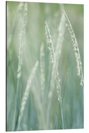 Magnettafel Strand-Roggengras