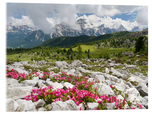 Acrylic print Croda da Lago in the Dolomites