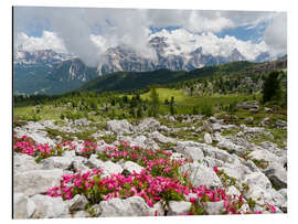 Aluminium print Croda da Lago in the Dolomites