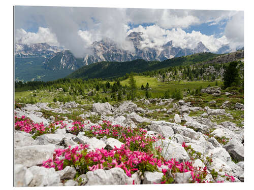 Tableau en plexi-alu Croda da Lago dans les Dolomites