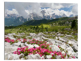 Gallery print Croda da Lago in the Dolomites