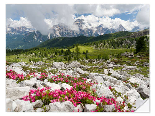 Sticker mural Croda da Lago dans les Dolomites