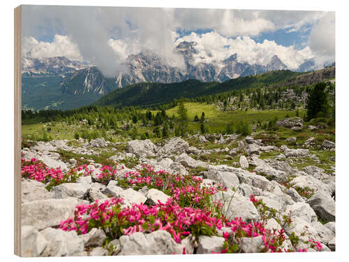 Wood print Croda da Lago in the Dolomites