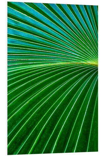 PVC-taulu Palm fronds