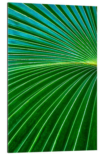 Galleriprint Palm fronds