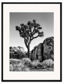 Gerahmter Kunstdruck Joshua Baum in der Morgensonne