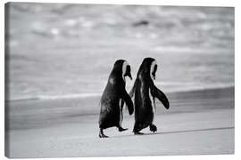 Lerretsbilde  Pingviner går hånd i hånd - Stuart Westmorland