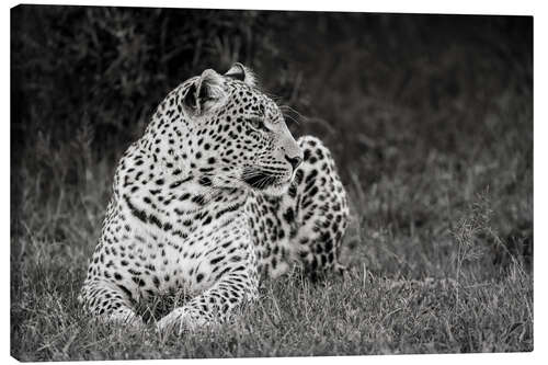 Canvas print Resting leopard