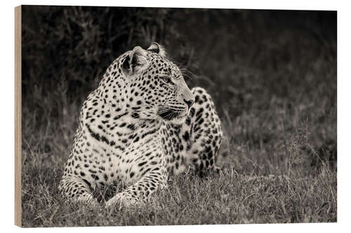 Wood print Resting leopard