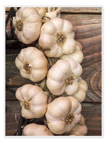Poster Garlic