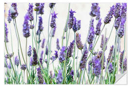 Selvklebende plakat Lavender flowers