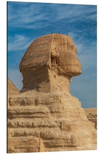 Aluminiumsbilde Great Sphinx of Giza