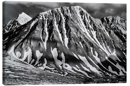 Leinwandbild St. Elias Mountains